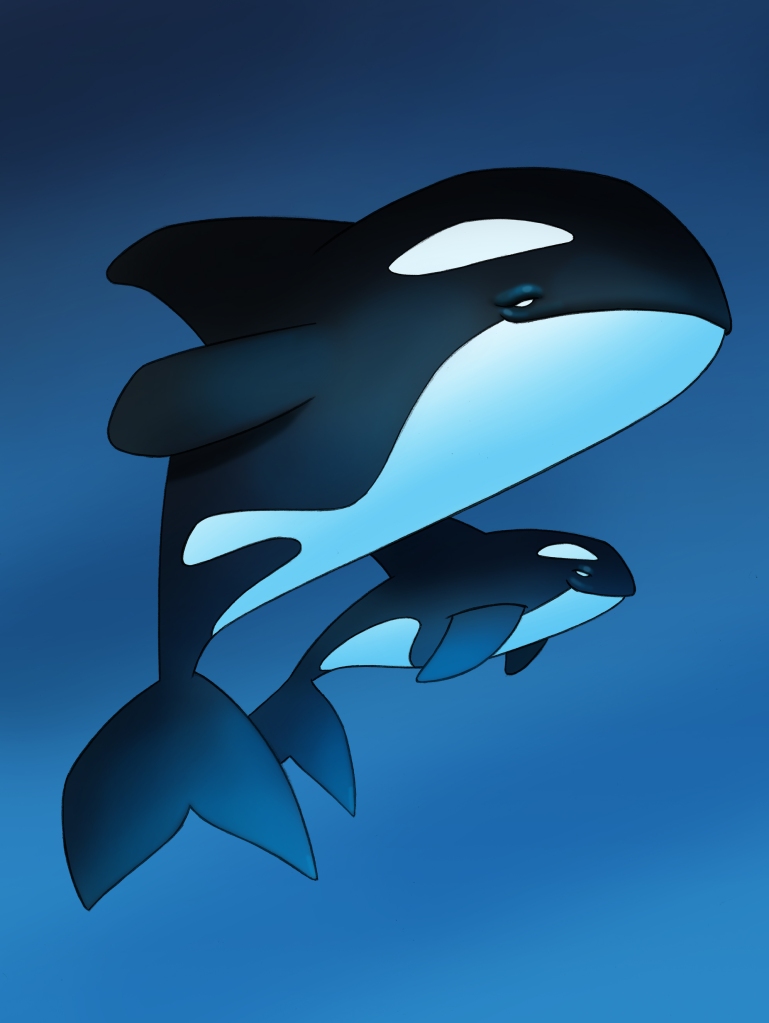 Killer_Whales__by_shark67